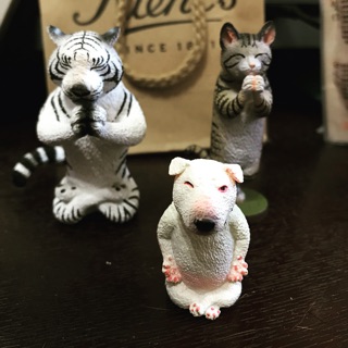 朝隈俊男瑜珈大師狗狗哈欠愛睏翻滾翻白眼animal Life 祈禱朝隈俊男瑜珈大師祈公仔貓牛頭梗 比價查詢結果 Biza 比價網 第1頁