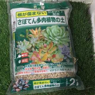 日本多肉植物專用培養土的拍賣價格 飛比價格