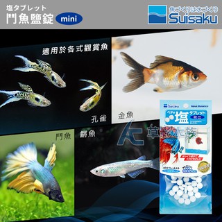 水作鬥魚水作神奇淨水石鬥魚、金魚、小型魚- 比價查詢- Biza 比價網-
