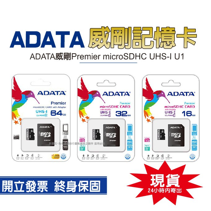 ADATA 威剛記憶卡【現貨+發票+台灣公司貨】Micro SD卡 16G/32G/64G  記憶卡 10 CLASS