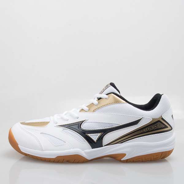 mizuno wave gate 2