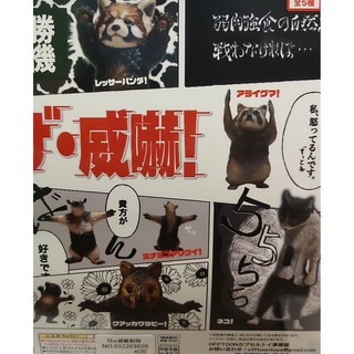 動物威嚇威嚇動物扭蛋收藏辦公室小物療癒小物擺飾浣熊貓咪獾小貓熊袋熊 吉妞寶鋪 比價查詢結果 Biza 比價網 第1頁