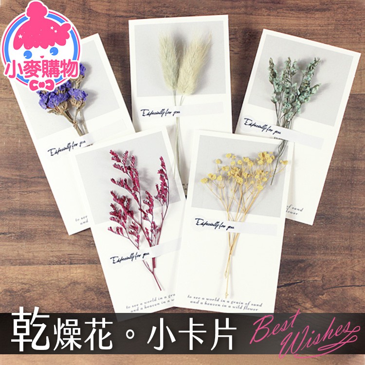 乾燥花卡片購物比價 Findprice 價格網