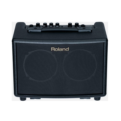 Roland Acoustic Chorus Guitar Amplifier 空心吉他音箱